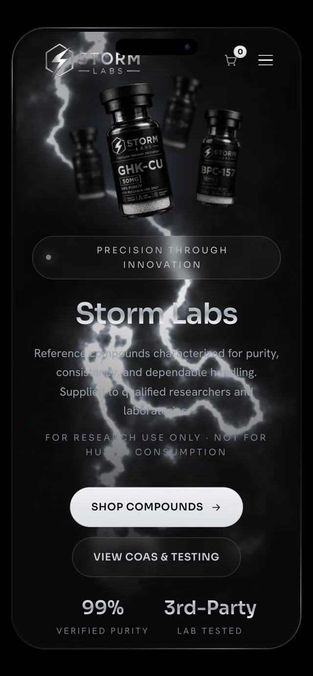 Storm Labs mobile homepage with the lightning hero