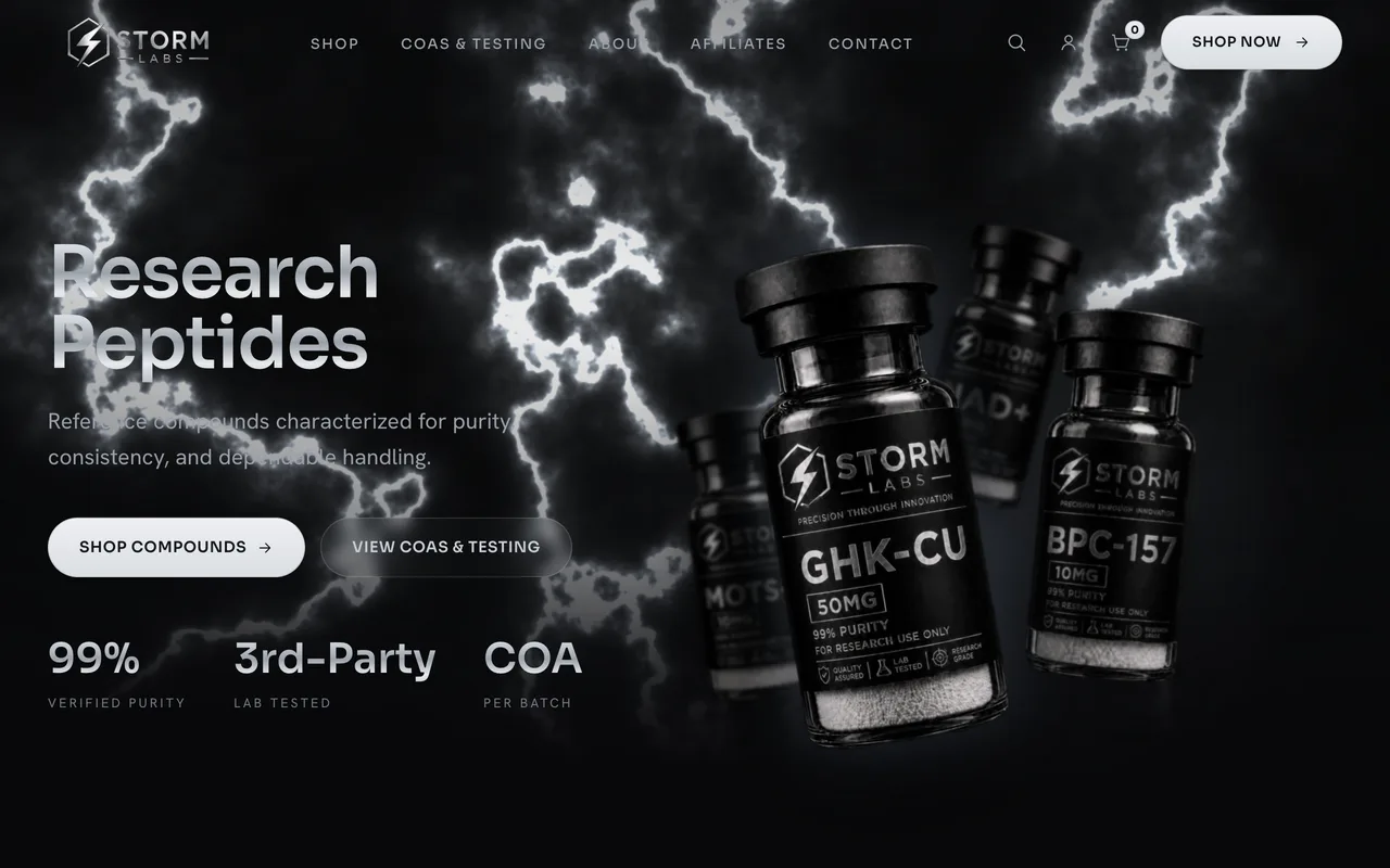 The Storm Labs website, built by Rankwyre